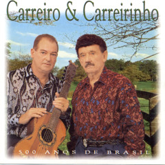 Canoeiro