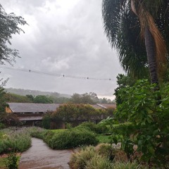 02.02.2025 - Cap. XXIV - Não Coloqueis a Candeia Sob o Alq. - Os Sãos Não Precisam de Médicos (14)