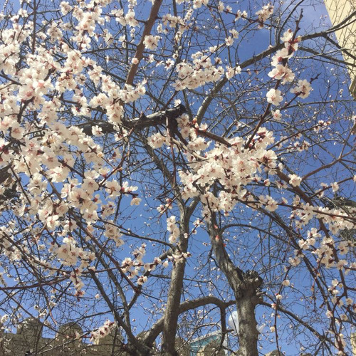 all around me ❀ flyleaf [spedup+reverb]