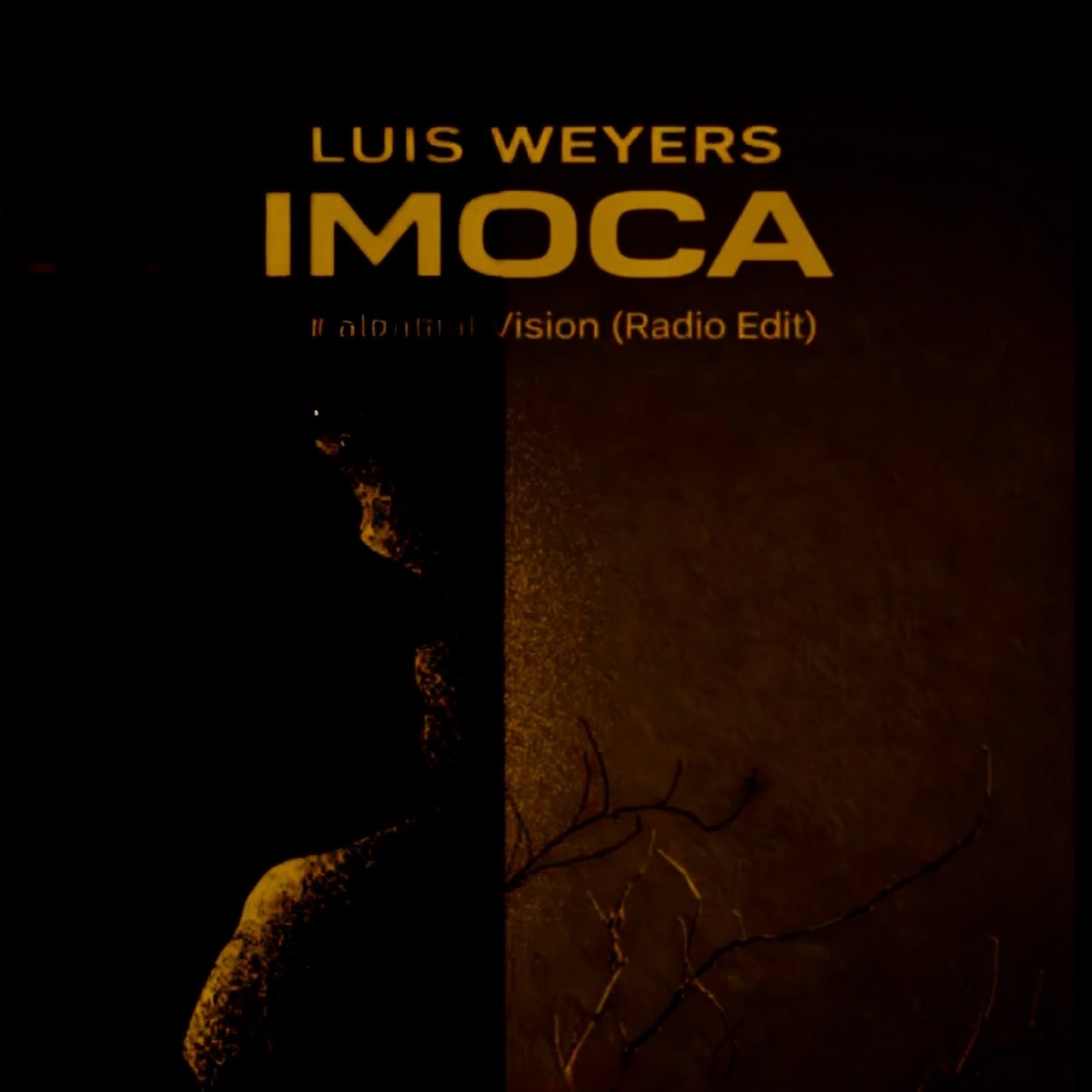 Imoca episode artwork