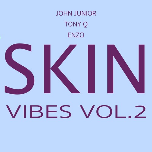 John Junior, Tony Q & Enzo - Skin Vibes Vol.2