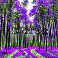 IK´ NOGET VÆRD ft YungXWare, 4654CarpetMuncher