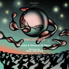 PREMIERE: Knobs & Simone Di Maria - Moire [TERRAFORM]