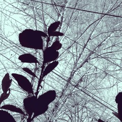 Mended (Next Escape)