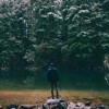 Niclas Lundqvist - Walk as One (In the Forest)