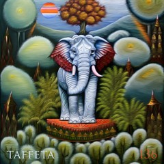 TAFFETA | 136