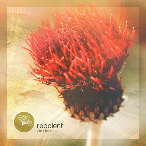 Kasango, Leo Guardo, Leo Gira - Save A Prayer Feat. Jordan Grace (DJ CHUS Rework)