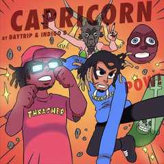 Capricorn - Daytrippin X Indigo