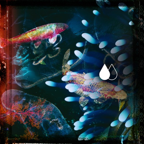 (clip) Tepivn - Took The Wrong Acid