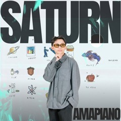 SZA - Saturn (Amapiano Remix)