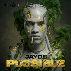 Possible (Radio Edit)