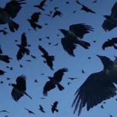Crows,  Gothic Archies cover/ by Stephin Merritt