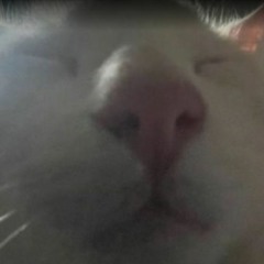 ??? - for Leona [commission]