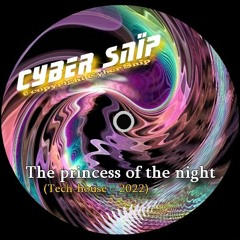 The princess of the night (Tech-house - 2022)