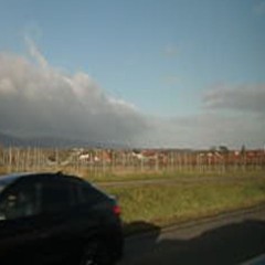 ONLY 1 BITCH! (PROD. IKIGAISOULYA)