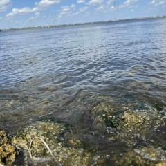 LifesoHARDremix x Ygm god