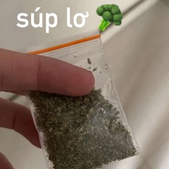 WELCOME TO MUSIC 2025 V3