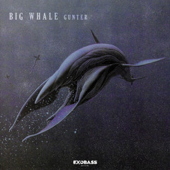 GUNTER - BIG WHALE [EXO-88]
