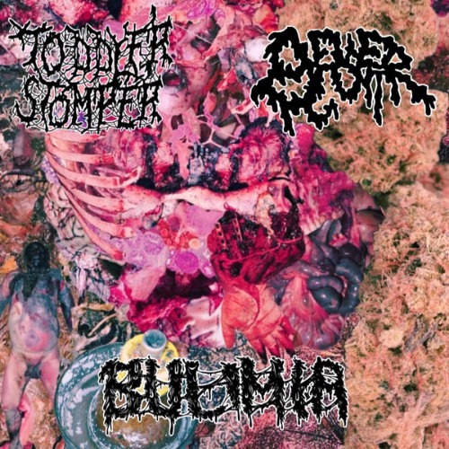 Toddler Stomper - Ricky