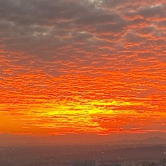 Morteza Vakili  - Mano Az Dast Dadi - 320.mp3