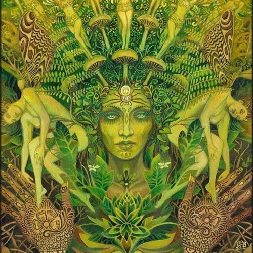 DNL Herb - New Age Forest Psy