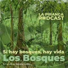 EP1 - Bosques
