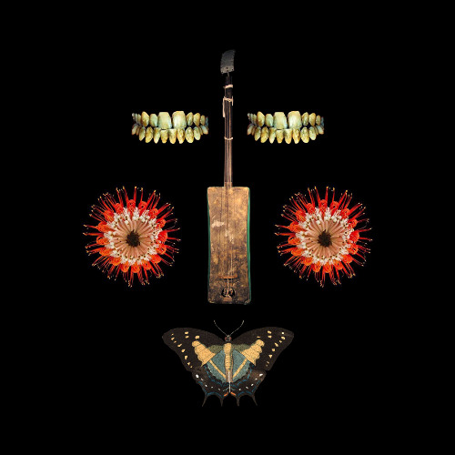 PHRONIMOS - Reconstruction Of A Heart