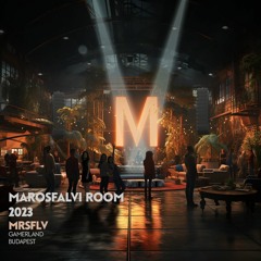 Marosfalvi Room MRSFLV 23.10.06.