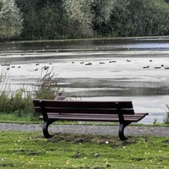 Echos (phone recording) improv