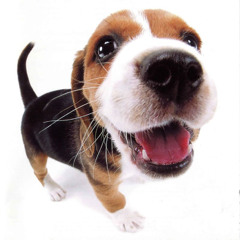 it's still you, after all ♡