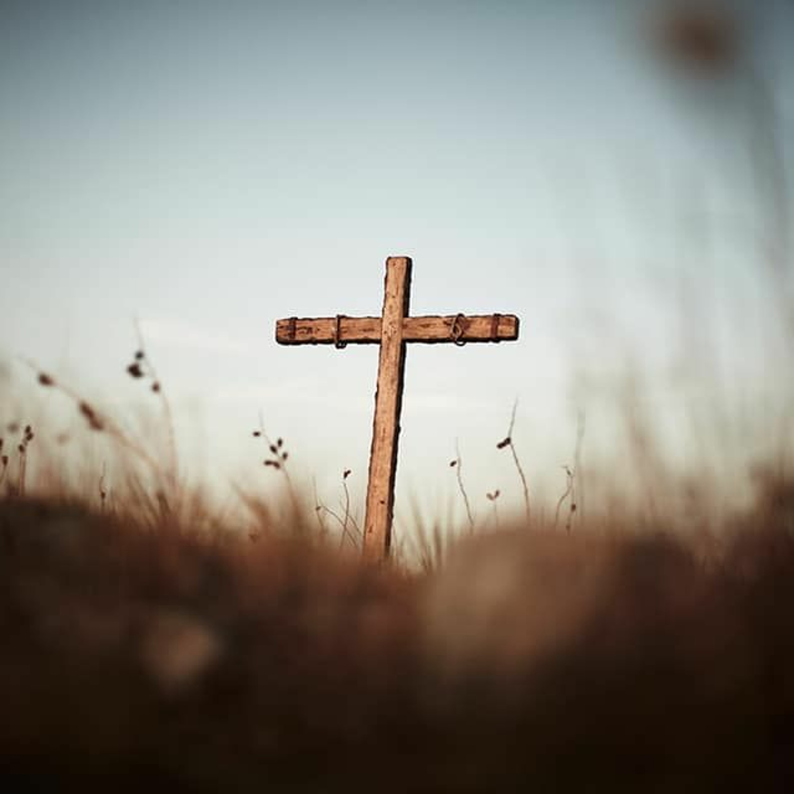 "Pictures of Salvation - Part 1, Justification" (4-19-20) episode artwork