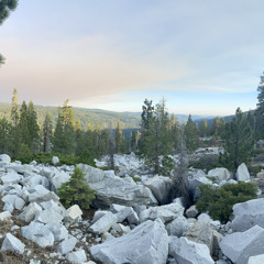 Shave My Head (prod. Koda x Ayoleybeats)