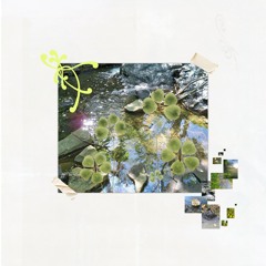 fake jazzer mini showcase