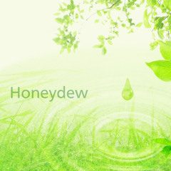 Honeydew