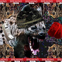 Hyena(prod.icymxcler)