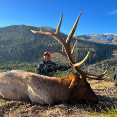 Guided Mule Deer Hunts in Wyoming