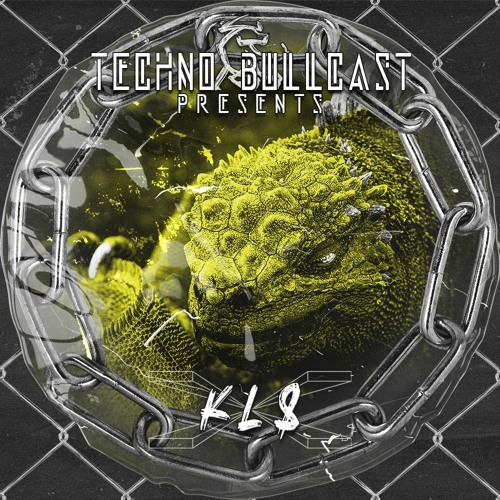 🅢❸ Techno Bullcast #37 - KLS