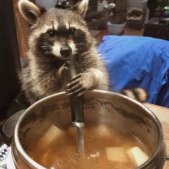 chef cabs cookin [bass recipe mix]