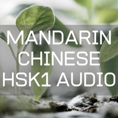 Mandarin Chinese HSK1 Lesson 9.1 : What type of work does she do?