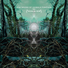 The Heraldic Beak Of The Manufacturers Medallion