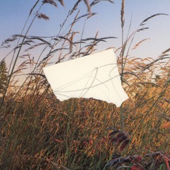 Optimum Aviary 007 (06.01.25)