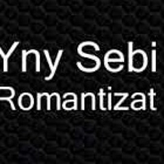 YNY Sebi - Romantizat (Official Audio)