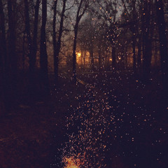 the pulse of us (ryan kelly)