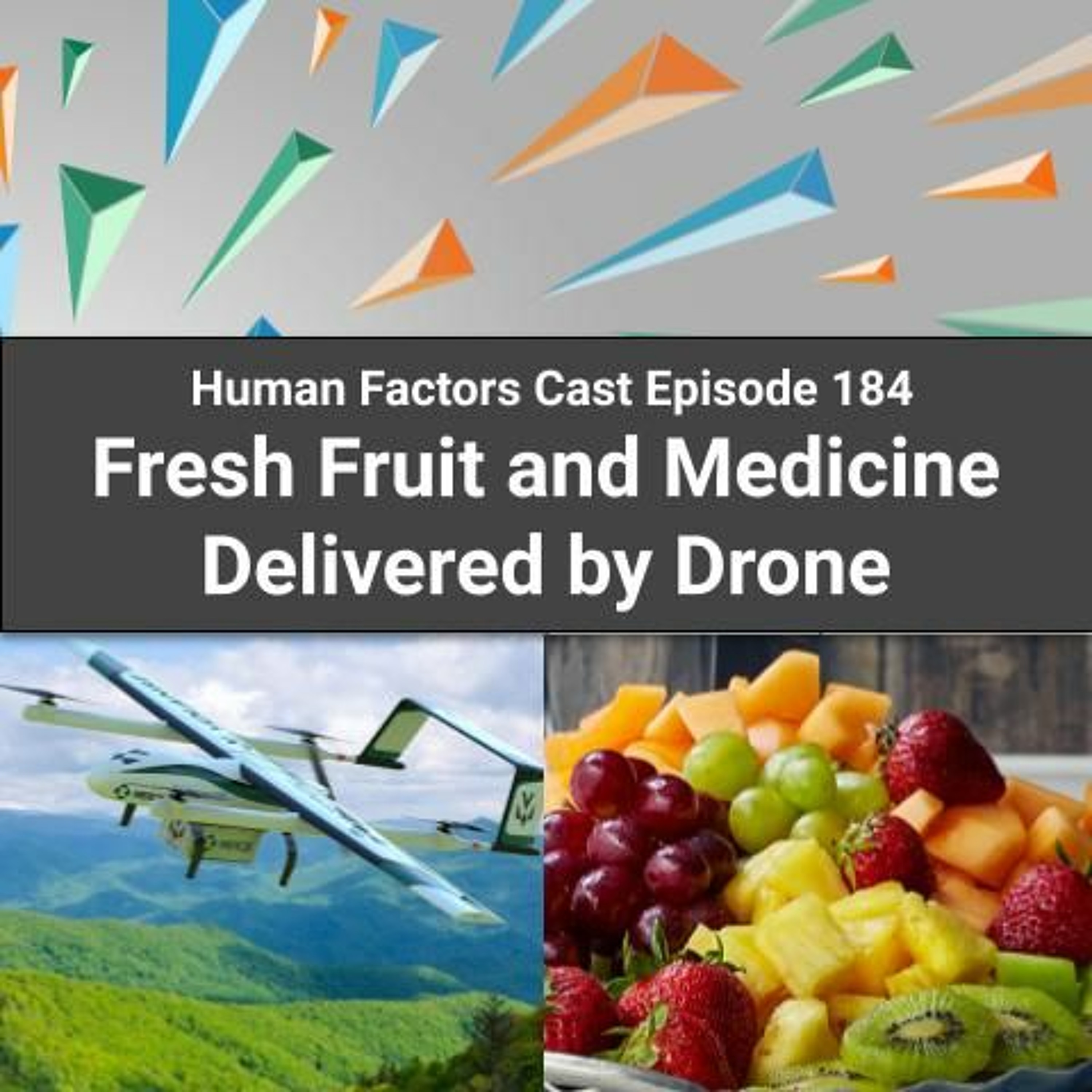 E184 -  Fresh Fruit and Medicine Delivered by Drone Image