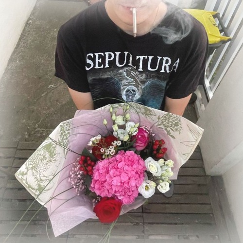 Collapse v2 / b1 K001