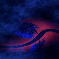 Somwhere In The Night