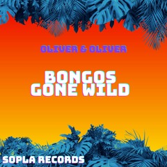 Bongos Gone Wild(Original Mix)