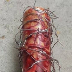 Fuck a dove fly off like a magpie