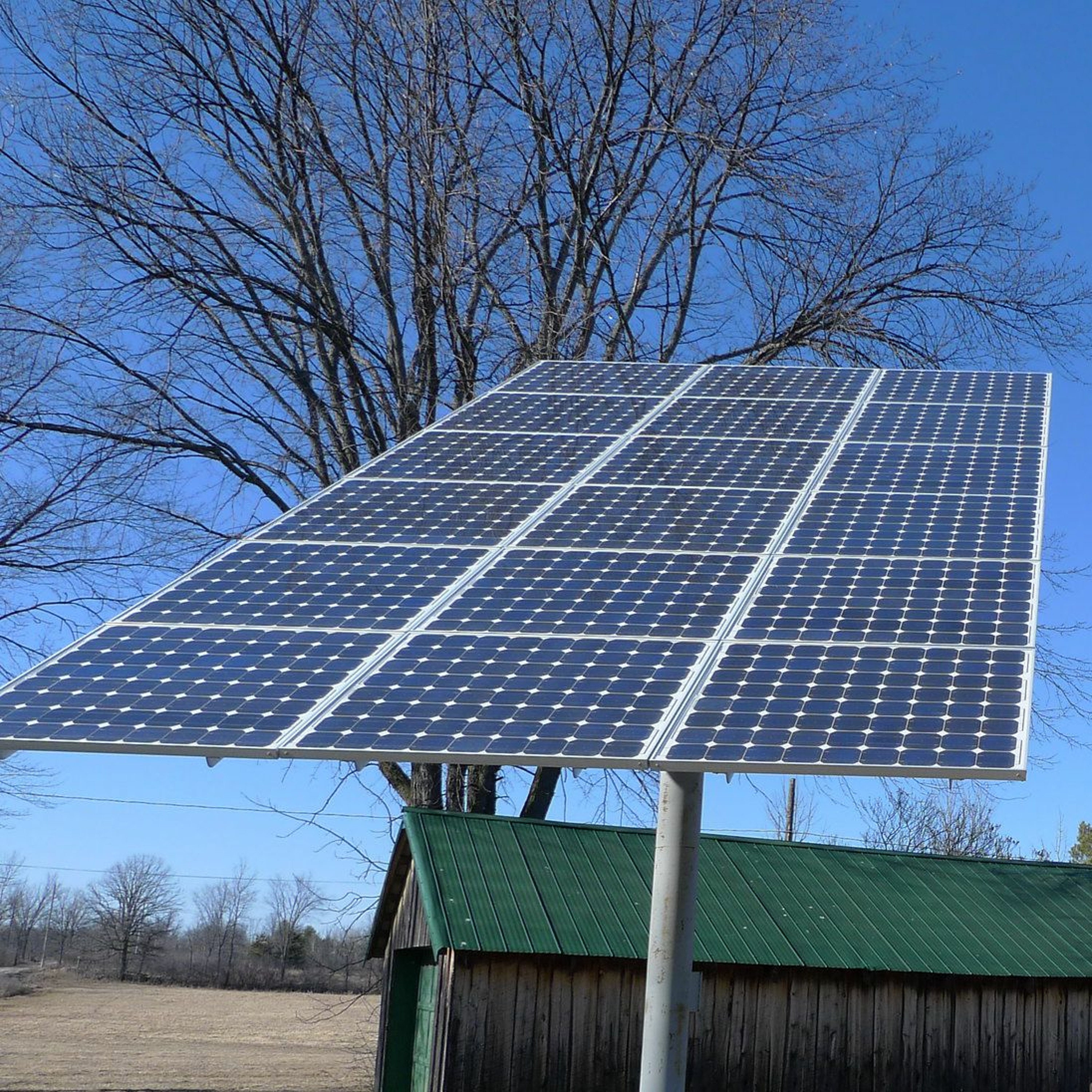 “Vaccine Apartheid”: A Call to Delay UN Climate Talks, Getting US Grid to 40% Solar, Harvard Divests episode artwork