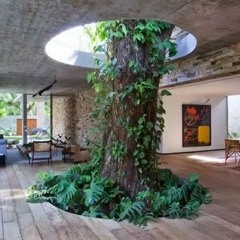 🛼 Old Funky Grooves sur la Terrasse 🪴